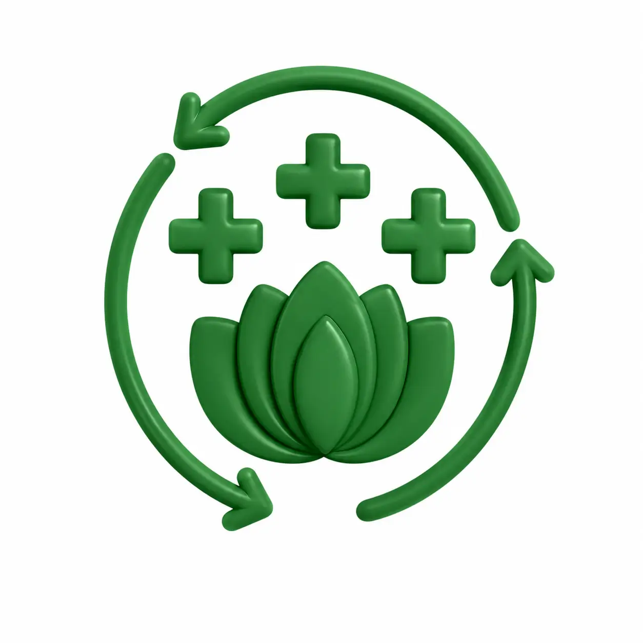 Supports Digestion